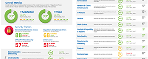 CIO Sample Report thumbail