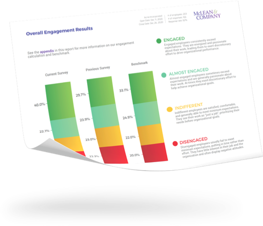 Diversity, Equity, and Inclusion Engagement Pulse Report Example